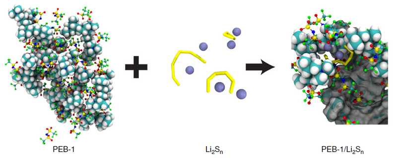 Berkeley’s answer to the LiS issue. The Christmas-light-looking structures are TFSI ions (from the electrolyte solution), and the PEB-1 polymer is represented by the blue-and-white spheres.